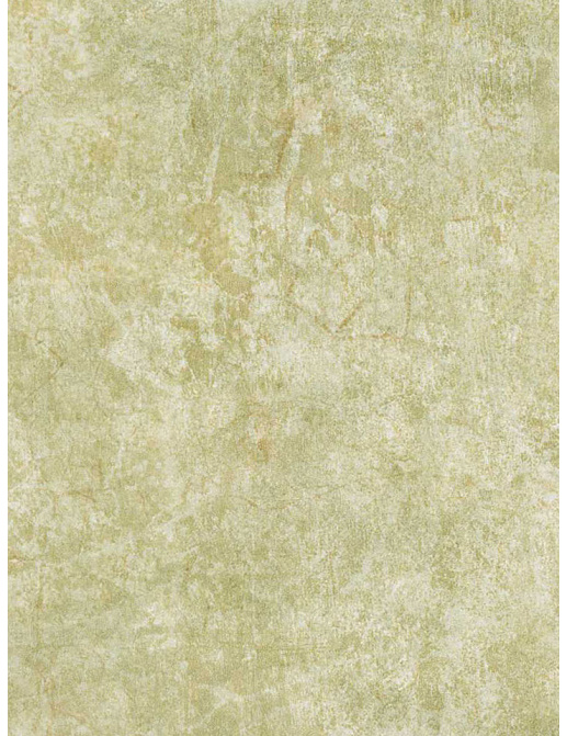 Обои Chesapeake Sand Dollar DLR47612