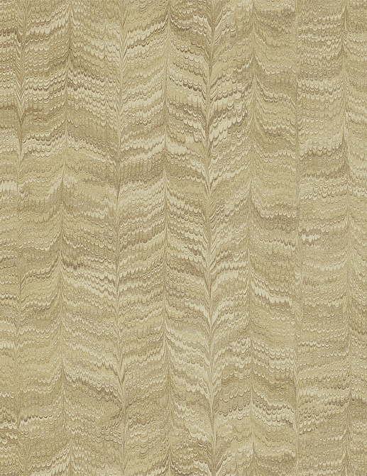Обои Zoffany Jaipur 311729