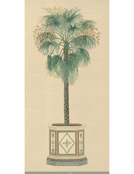 Панно и фотообои Iksel Scenic & Architectural Wallpapers Potted Palms PT06