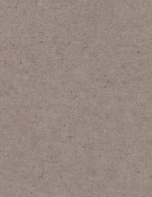 Обои Rasch Concrete 520873