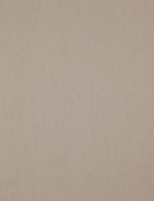 Ткань Daylight Canvas Canvas/Buff