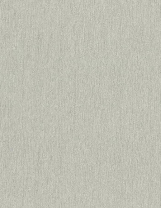 Обои Rasch Настенные структуры. Том 4 / Wall Textures XL Vol. 4 979336