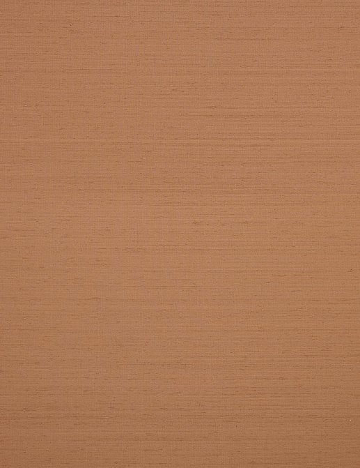 Обои Braquenie Shiva BP334023