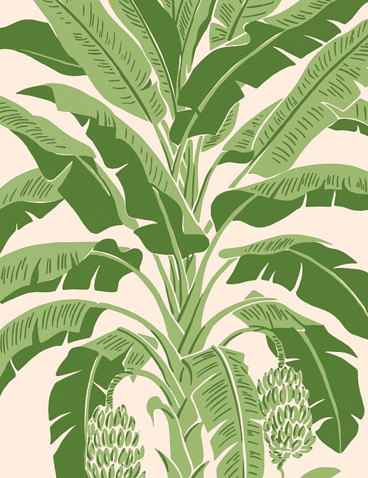 Обои Thibaut Palm Grove T13917