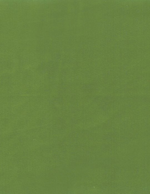 Ткань KAI Koji Koji/Aloe