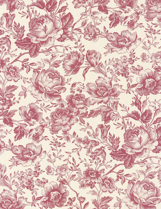 Обои Casadeco Les Belles Toiles de Jouy 2 BTJD201728558