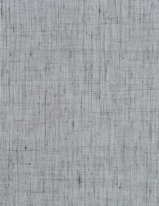 Обои Phillip Jeffries Tailored Walls 5563