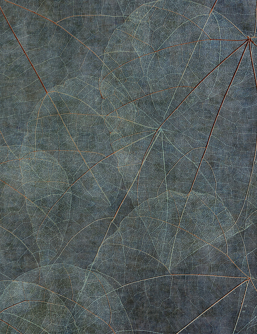 Панно и фотообои Glamora Creative Wallcovering GLNF121A