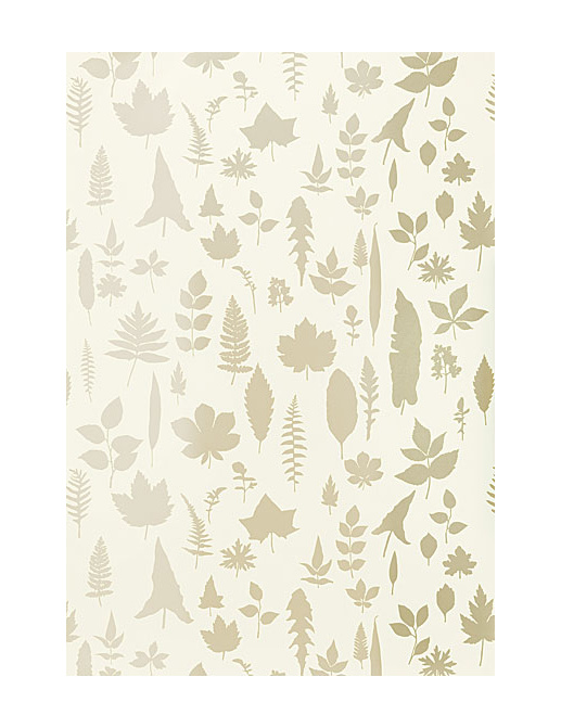 Обои Schumacher Modern Nature 5005020