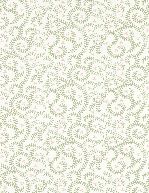 Обои Clarke & Clarke Indira W0233/04