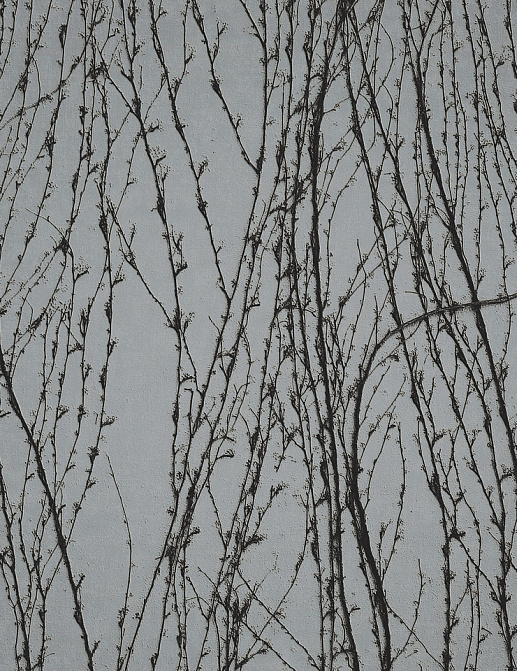Панно и фотообои Italreflexes Macro Virginia Creeper-007/Silver