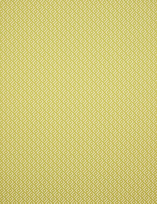 Ткань Manuel Canovas Vogue 04987/07