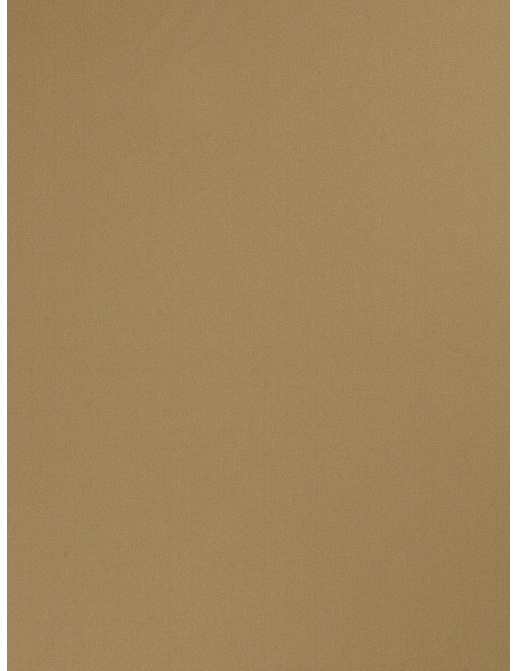 Ткань Trend Multipurpose Sleek Satin Vol.II 02022/Seagrass