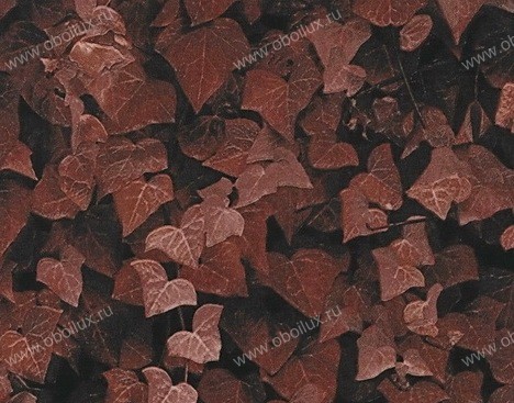 Обои Giardini Phlora & Phauna PH0102