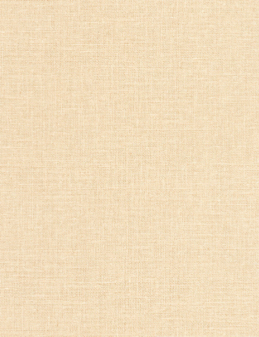 Обои Caselio Jute JTE104012780