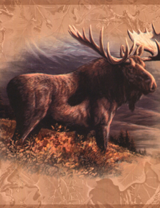 Бордюр York Lake Forest Lodge WD4305B