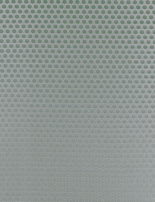 Ткань Clarke & Clarke Imperiale F0867/06