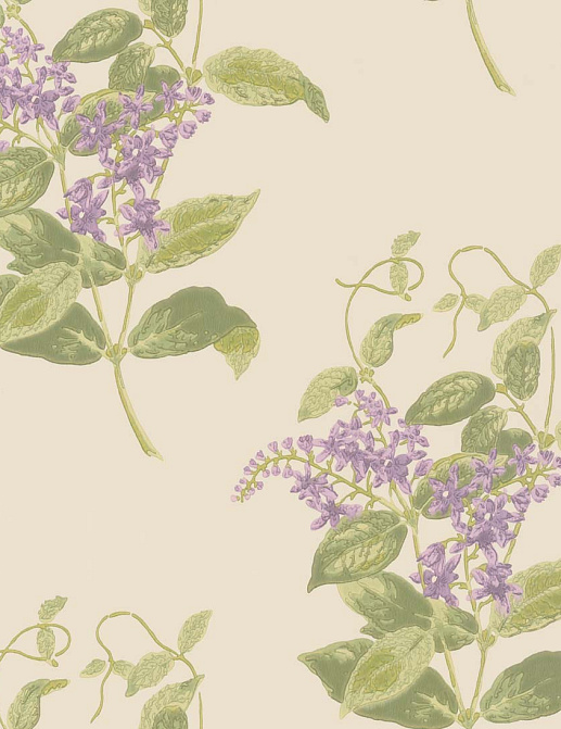 Обои Cole & Son Archive Anthology 100/12056