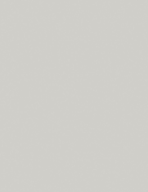 Обои Borastapeter Borosan Bas 38725