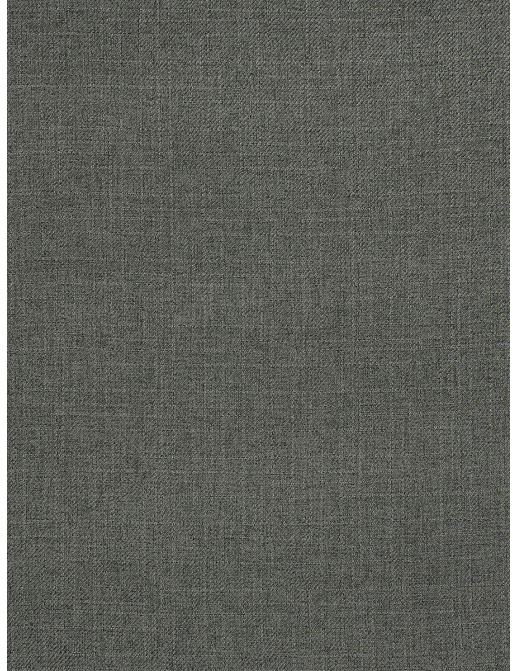Ткань Trend Mammoth Twill 04466/Graphite