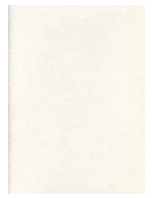 Обои Prestigious Textiles Pure 1922-076