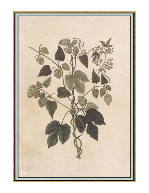 Панно и фотообои Iksel Scenic & Architectural Wallpapers Renaissance Herbier RH35