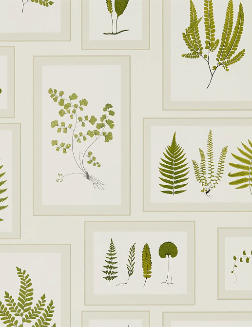 Обои Sanderson Woodland Walk 215712