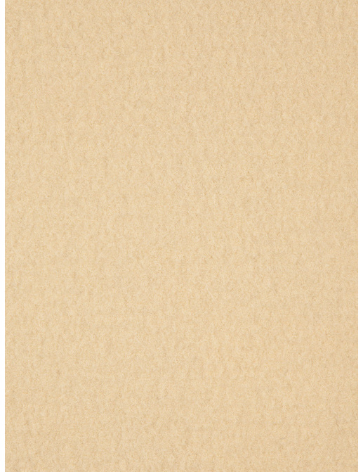 Ткань Holland & Sherry Boiled Wool DE10751