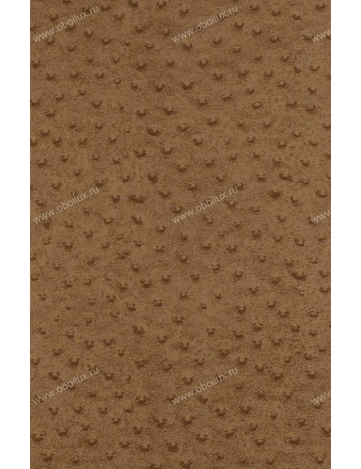 Обои York Natural Instincts NT9007