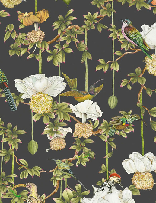 Обои Cole & Son Ardmore Baobab 129/2009