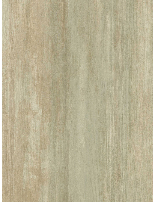 Обои Chesapeake Sand Dollar DLR54612