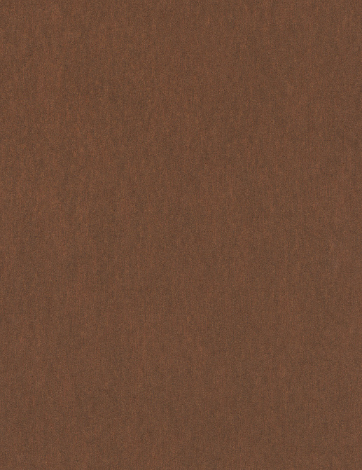 Обои Rasch Amiata 296418