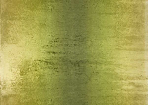 Ткань Designers Guild Bernardini F1763/03