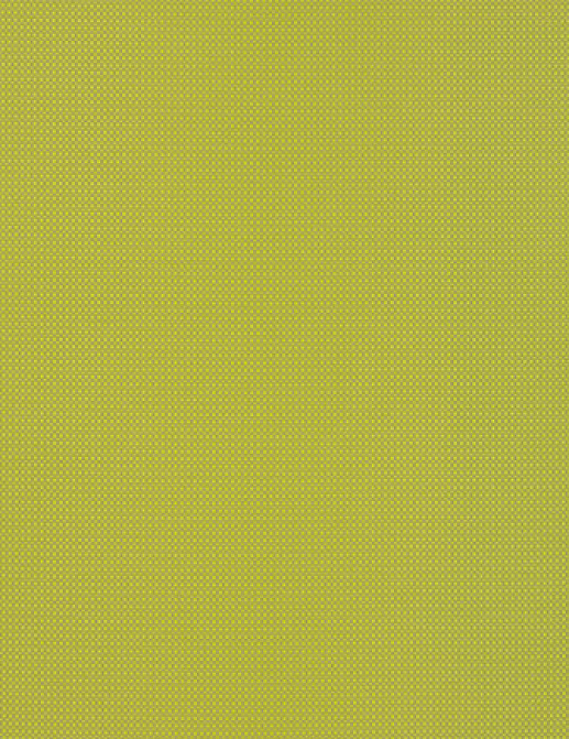 Ткань Designers Guild Molveno FT1863/10