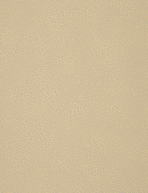 Обои Nobilis Esprit De Matieres EDM19