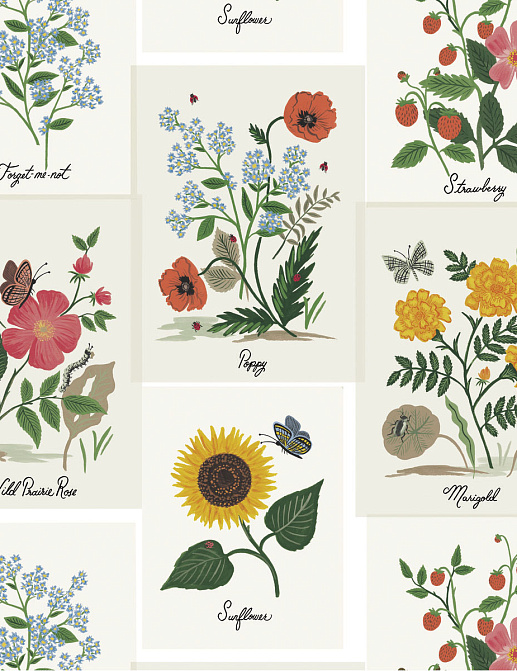 Обои York Rifle Paper Co. Second Edition RP7334