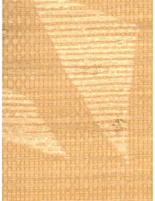 Обои Stroheim Silhouettes In Bloom Jute/Almond on Flax
