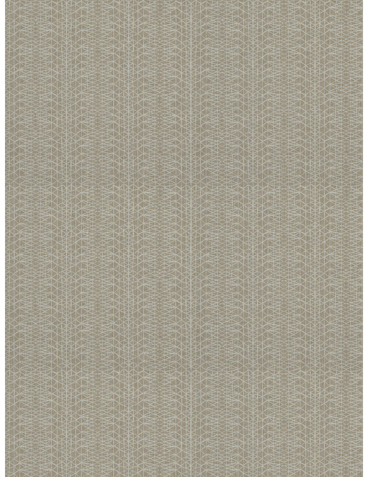Ткань Trend Lifestyles By Color vol.IX Sand/Storm 04559/latte