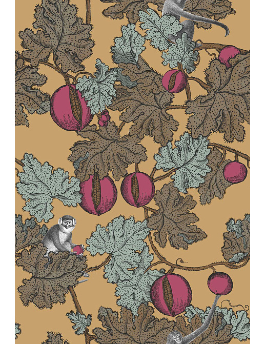 Обои Cole & Son Fornasetti Senza Tempo 114/25049