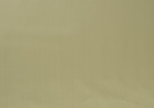 Ткань Designers Guild Santiago F1649/09