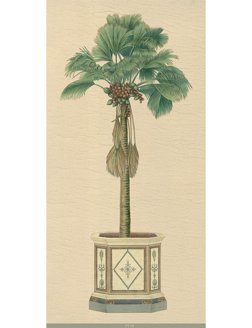 Панно и фотообои Iksel Scenic & Architectural Wallpapers Potted Palms PT05