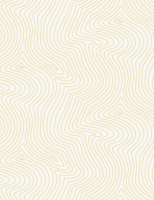 Обои Paper & Ink Pure Elements SY21203