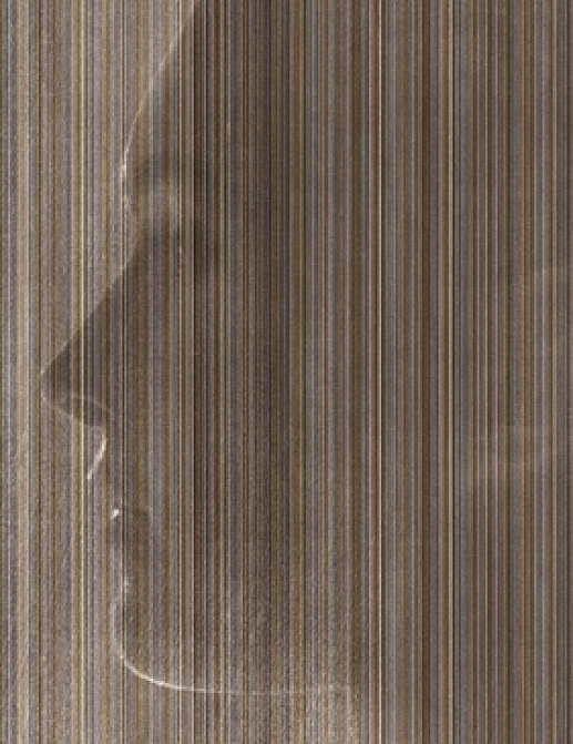 Панно и фотообои Wall & Deco 2015 WDBE1503-A