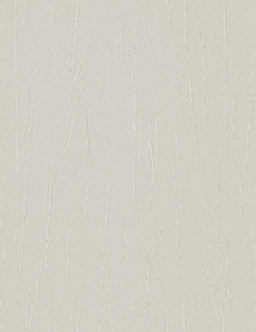 Обои Rasch Passepartout 605945