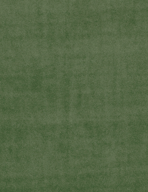 Ткань Clarke & Clarke Alvar F0753/31