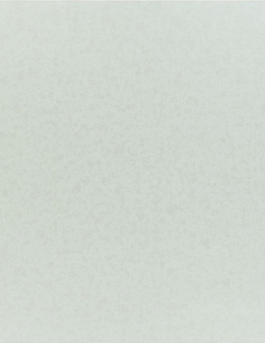 Обои Designers Guild Naturally III P534/10