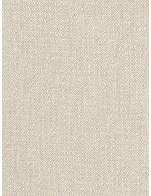 Ткань Fabricut Chromatics Vol.XXV Oyster Palindrome/Seasalt