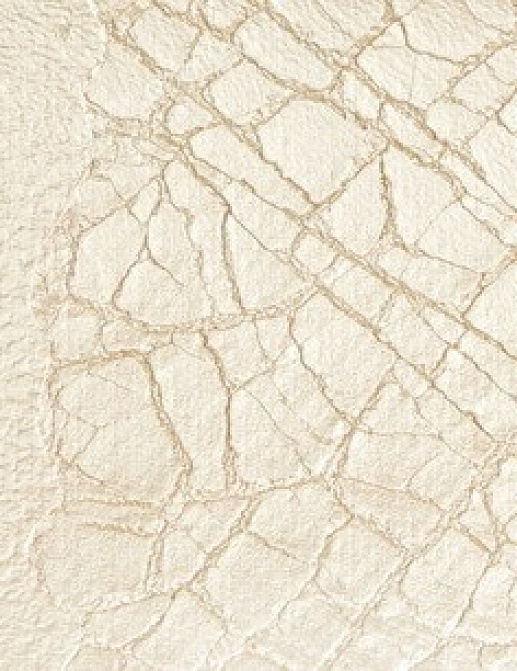 Обои Arte Indigo 51000