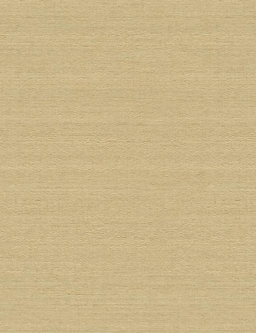 Обои Rasch Etro II 534016