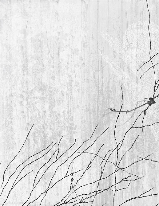 Панно и фотообои Glamora Creative Collection (Chapter XIV) GLXIV201A